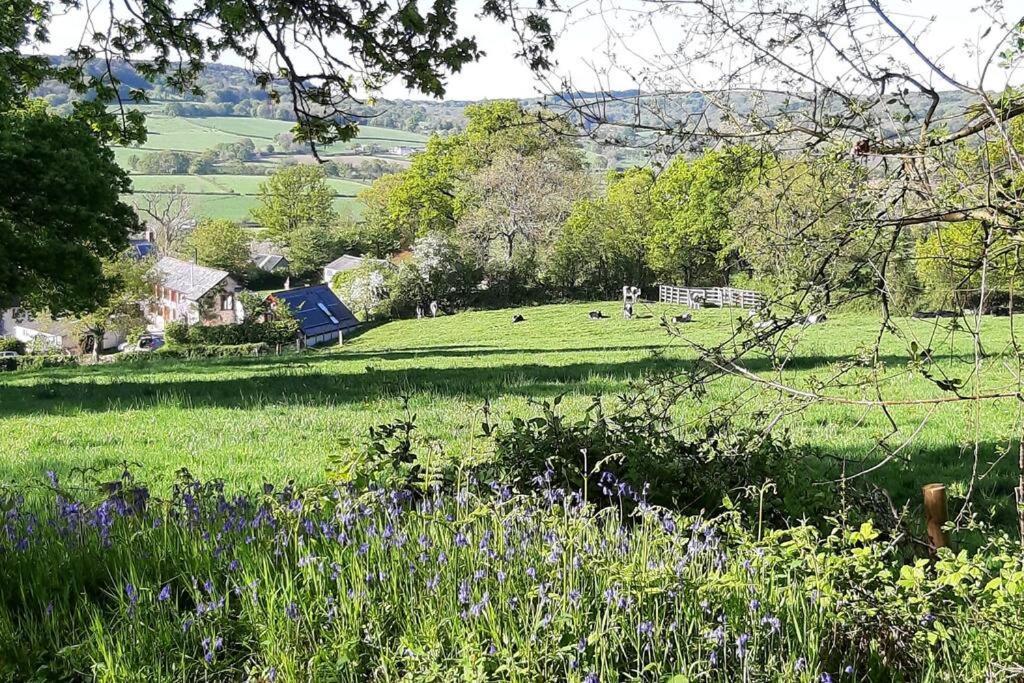 The Roost - A Bird'S Eye View In The Countryside Apartment Cullompton Luaran gambar